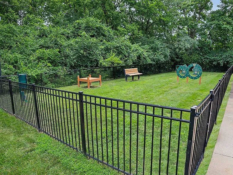 Community Dog Park