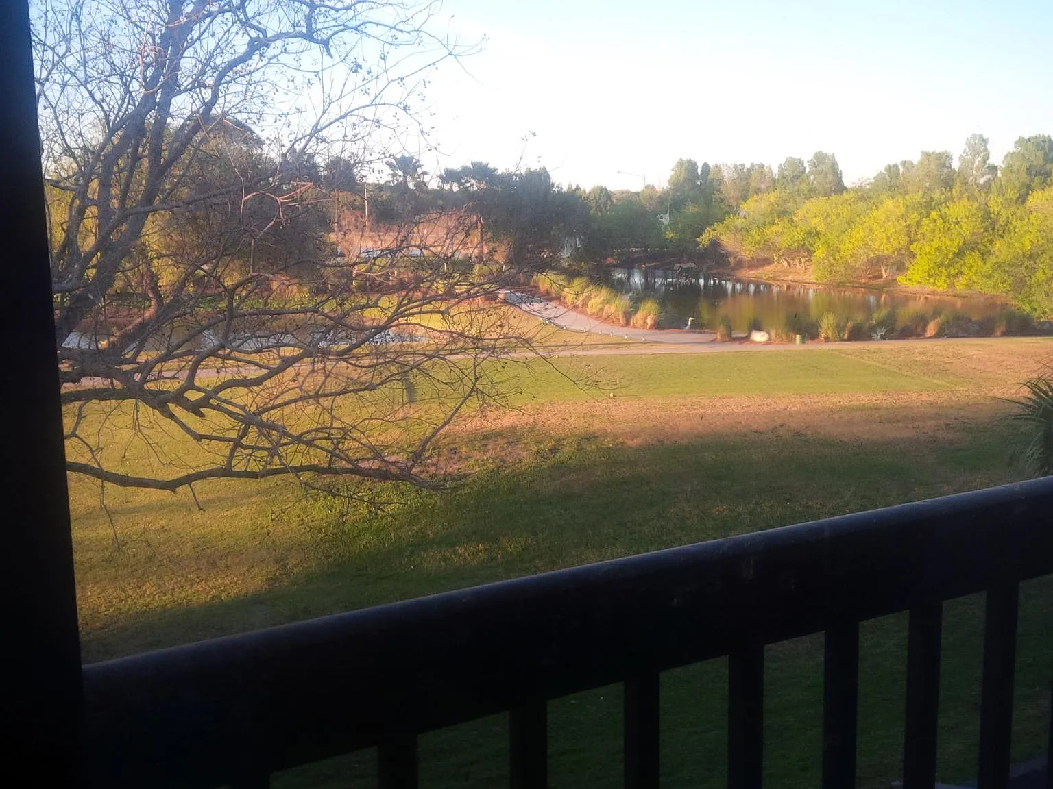 2 bed, 1175 sqft, $1,995 — Photo 3