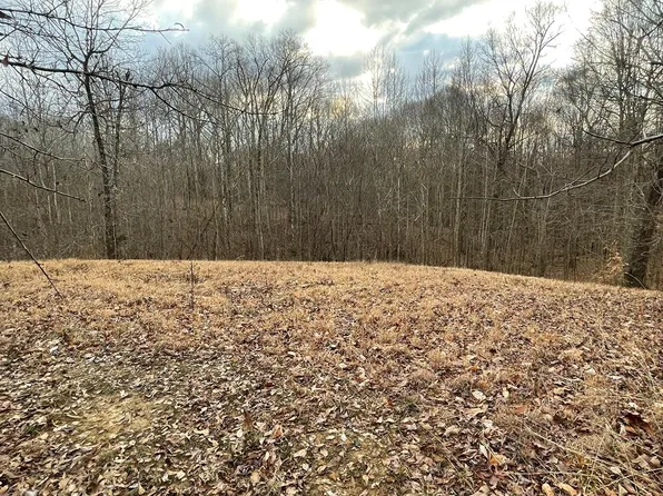 0 Copper Springs Rd, Springville, TN 38256