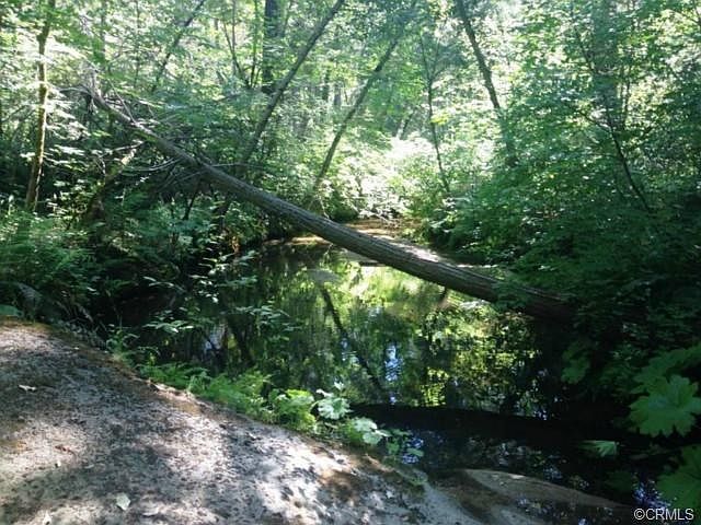 Swimming Hole