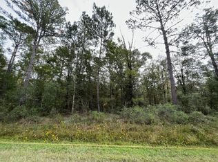 10230 Ruth Ave, Hastings, FL 32145