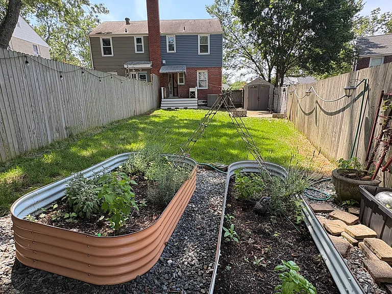 Vegetable garden