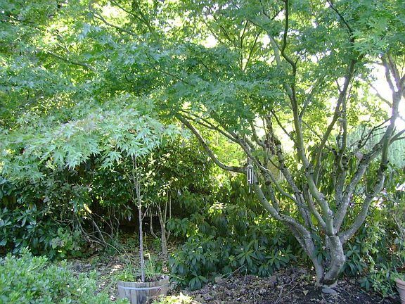 View From Front Door