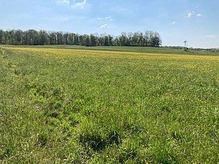 3rd image of 0 Warner Rd