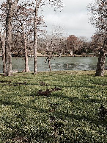 1st image of 616 Woodlake Dr