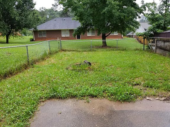 Back yard 