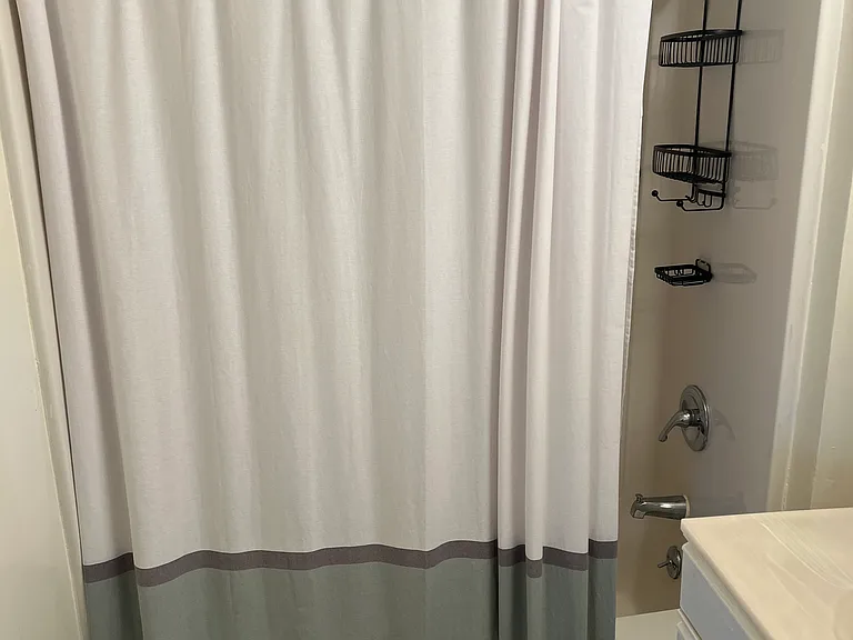 Tub with shower
