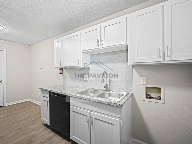 THE PAVILION APARTMENTS — Photo 10