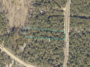 2166 River Ridge Rd, Reidsville, GA 30453