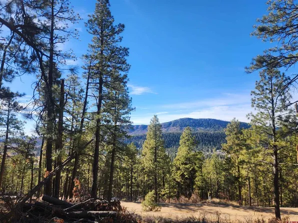 259 Deer Ridge Drive, Bayfield, CO 81122