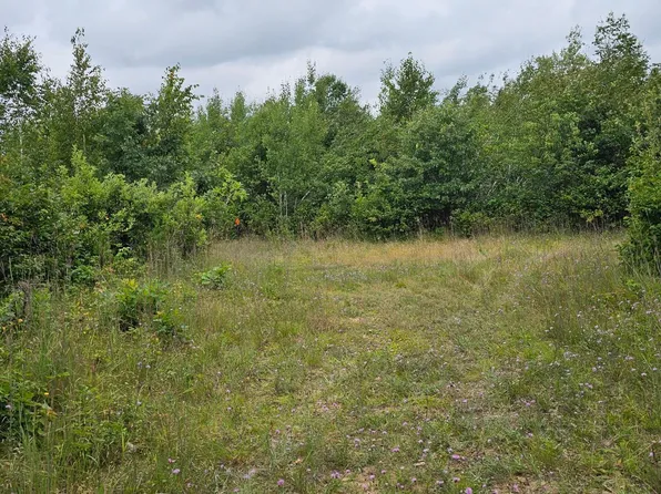 PARCEL Sunnyside Rd SE #B, Bemidji, MN 56601