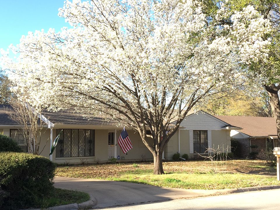 Front tree in full bloom!