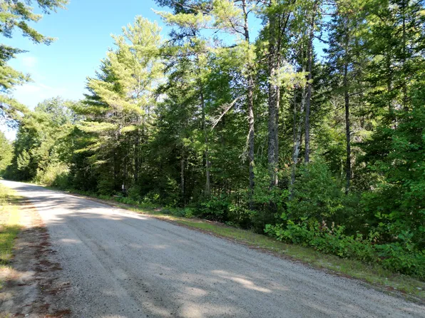 Lot 38.2 Lord Brook Road, Grand Falls Twp, ME 04418