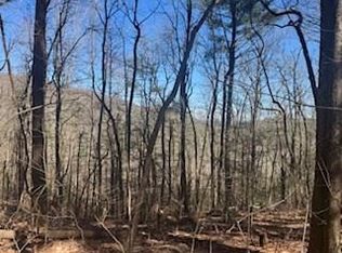 14 Butler Creek Rd, Cherry Log, GA 30522