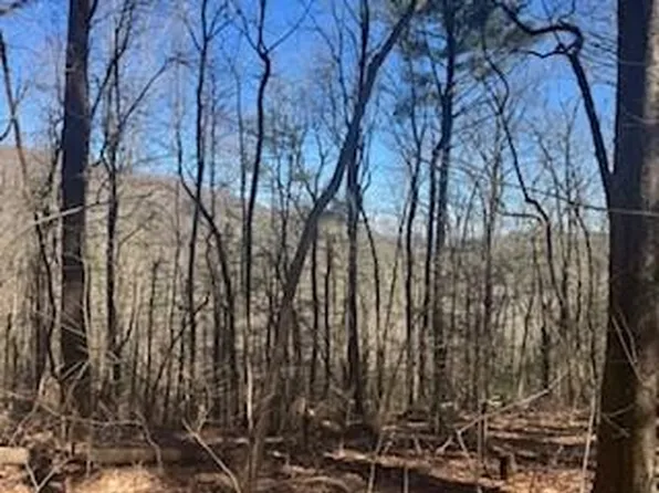 14 Butler Creek Rd, Cherry Log, GA 30522
