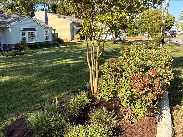 466 Manor Rd — Photo 34