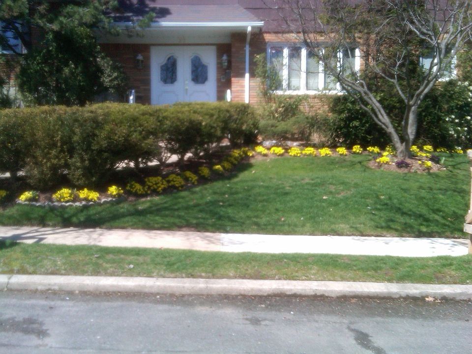 1st image of 25 Ionia Ave