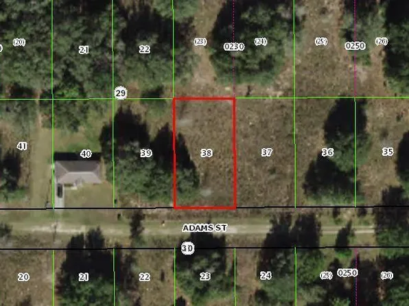 2218 Adams St, Inverness, FL 34453