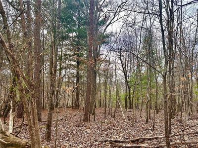 780 Nettle Ln #780, Ranger, GA, 30734