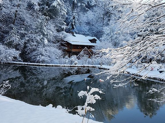Previous Home and Pond
