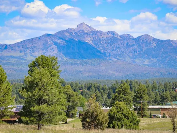 1362 Cool Pines Drive, Pagosa Springs, CO 81147