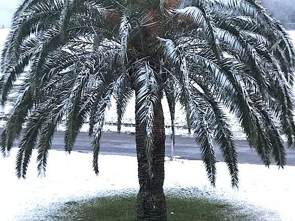 The one time it snowed