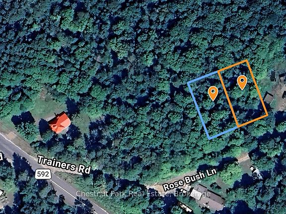 2nd image of 50 Rose Bush Ln