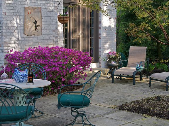 Patio/Back