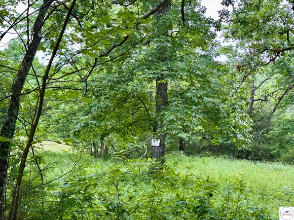 Honey Bear Loop, Warsaw, MO 65355