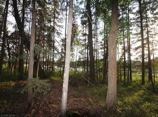 Xxx Two Inlets Dr, Park Rapids, MN 56470
