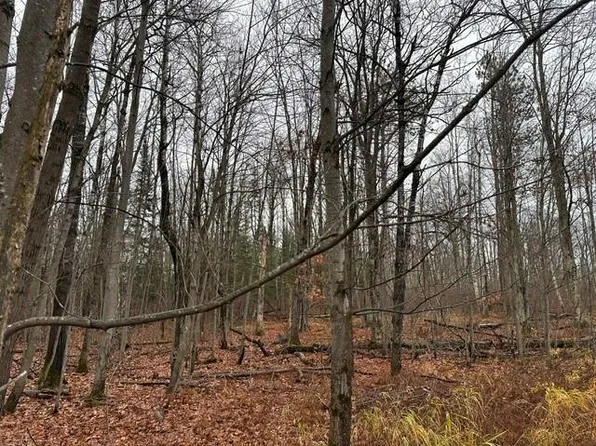 (undisclosed Address), Hayward, WI 54843