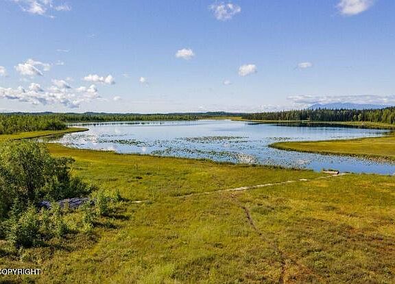 5th image of 5280 S Horseshoe Lake Pl