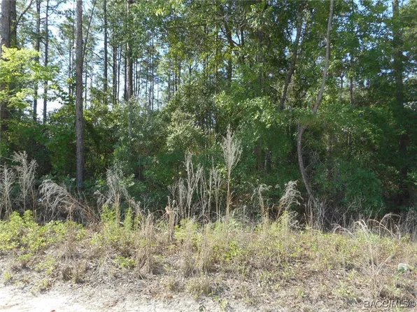 L-43 SW 51st Ln, Dunnellon, FL 34432
