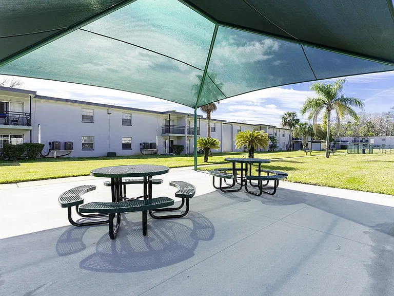 Palm Cove Apartments — Photo 16