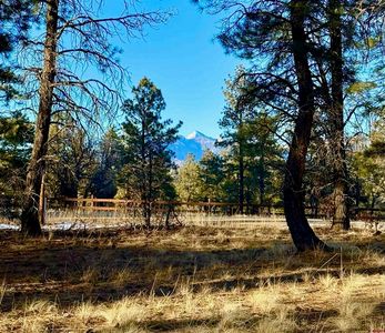 415 Oakbrush Street, Pagosa Springs, CO, 81147