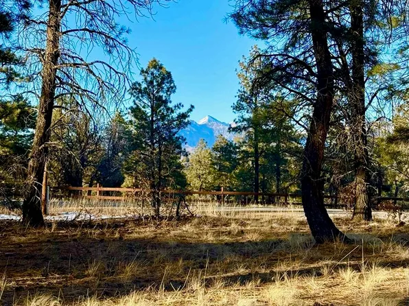 415 Oakbrush Street, Pagosa Springs, CO 81147