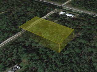 10420 Beckenger Ave, Hastings, FL 32145