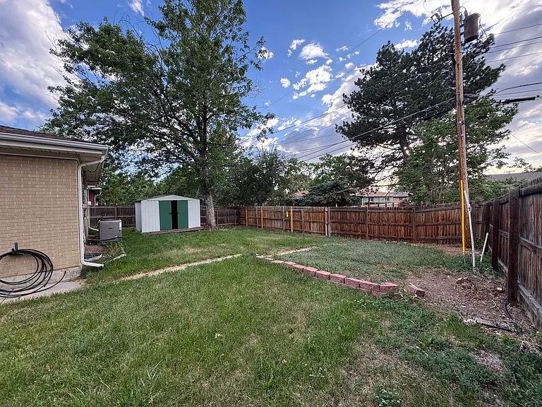view of back yard