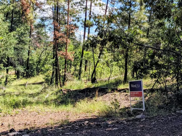 6 County Road 2073, Alpine, AZ 85920