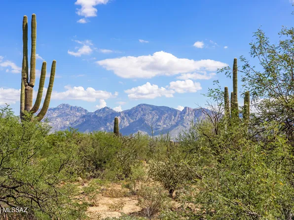 1906 W Mountain Mirage Pl #161, Oro Valley, AZ 85755