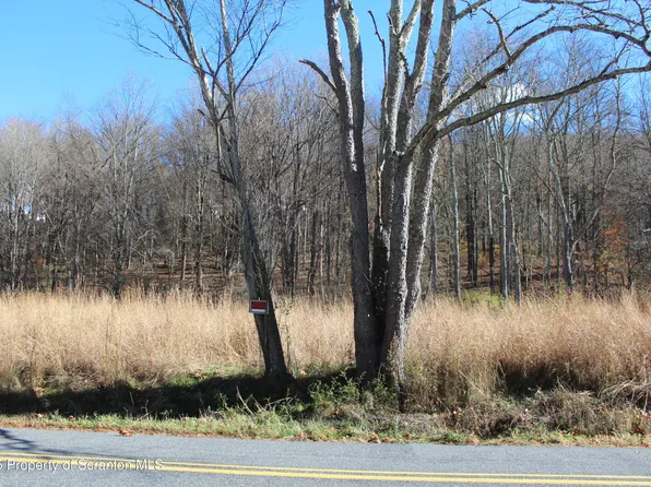 1253 Bacontown Rd, Nicholson, PA 18446