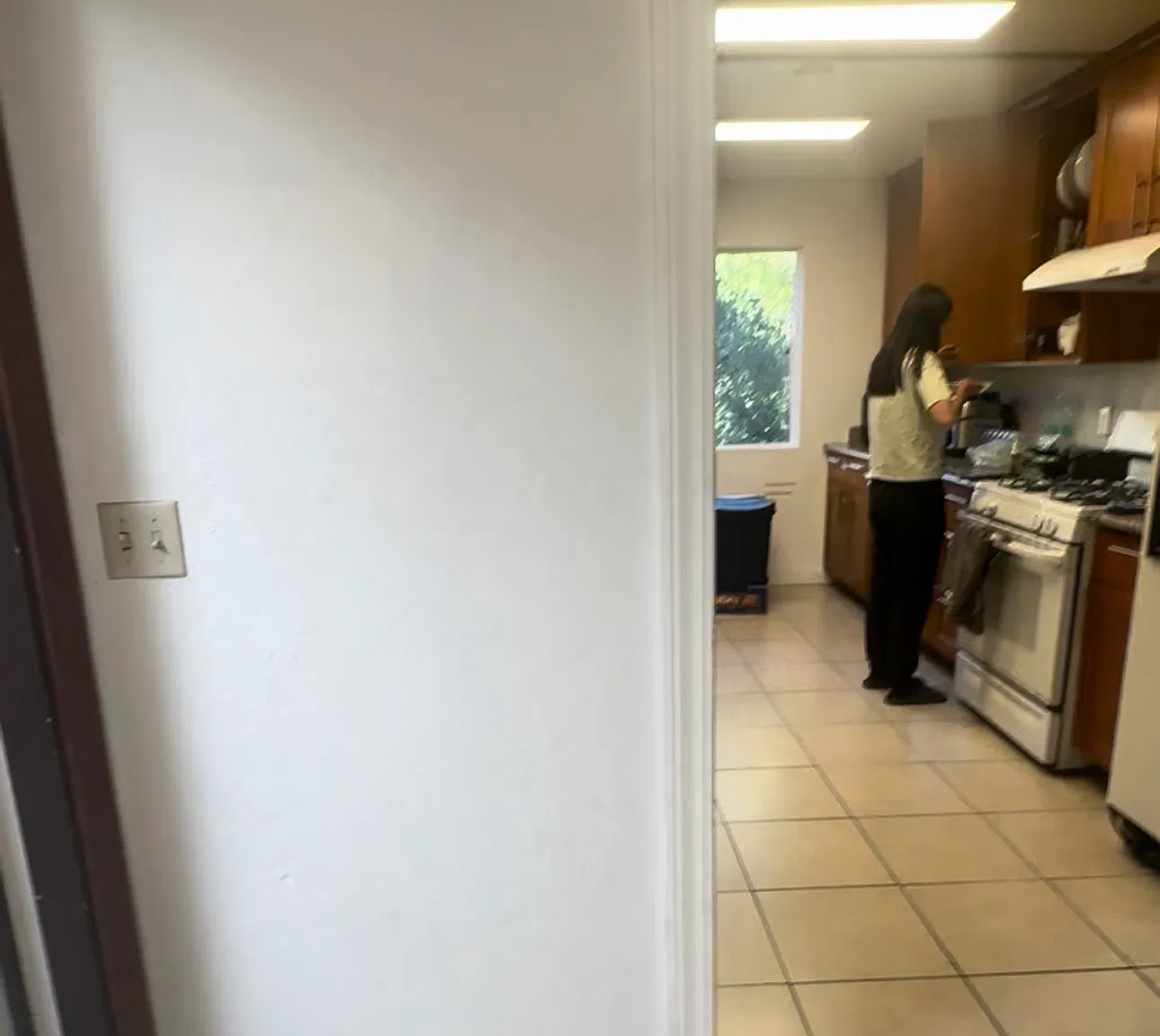 1 bed, $1,500 — Photo 4