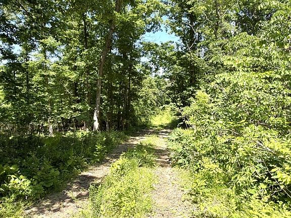 2nd image of 0 Old Union Rd