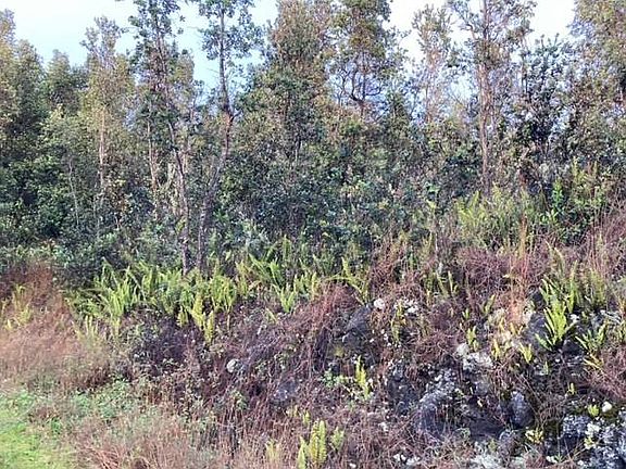 5th image of Lehua Ln Lot 27