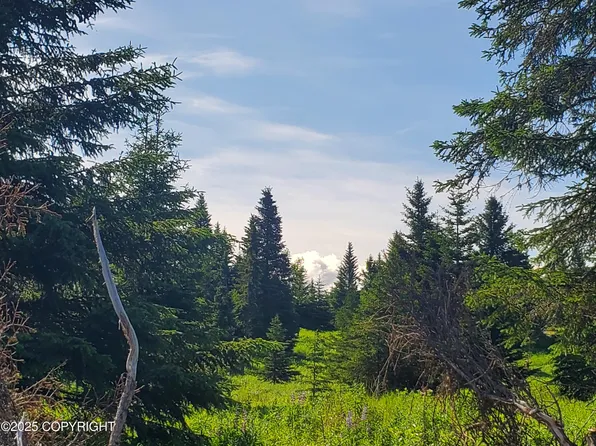 17490 Chefornak St, Ninilchik, AK 99639
