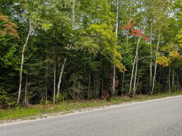 0 E South Caribou Lake Rd, De Tour Village, MI 49725