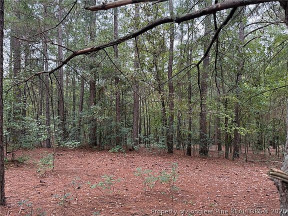 2nd image of LOT 7A Mumford Rd