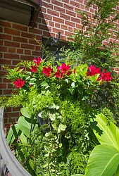 Sold by Dwelling Homes