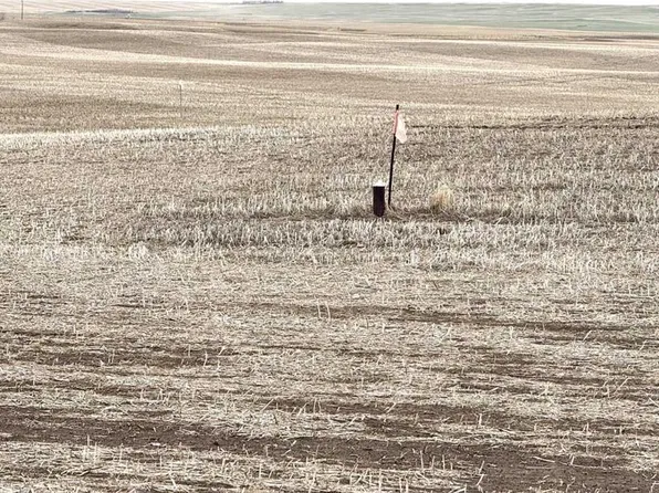 Township Road 194, Vulcan County, AB T0L 0B0