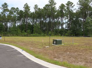 95344 Seina Ct, Fernandina Beach, FL 32034